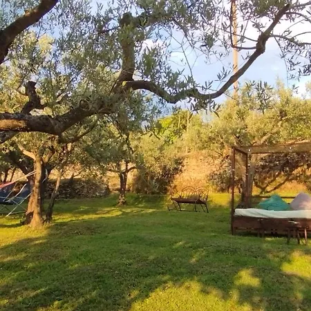 Bed & Breakfast La Casa Tra Gli Ulivi House