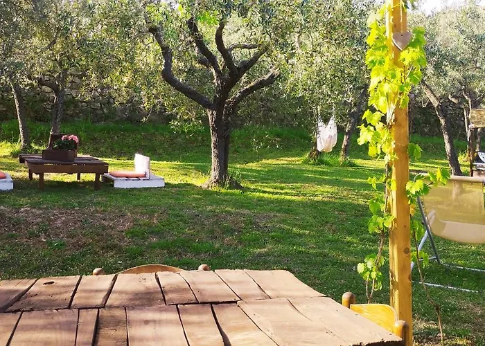 La Casa Tra Gli Ulivi