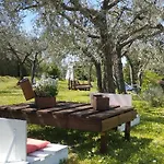 La Casa Tra Gli Ulivi * Cortona
