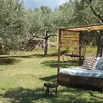 La Casa Tra Gli Ulivi Apartment