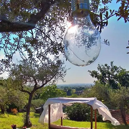 Bed & Breakfast La Casa Tra Gli Ulivi