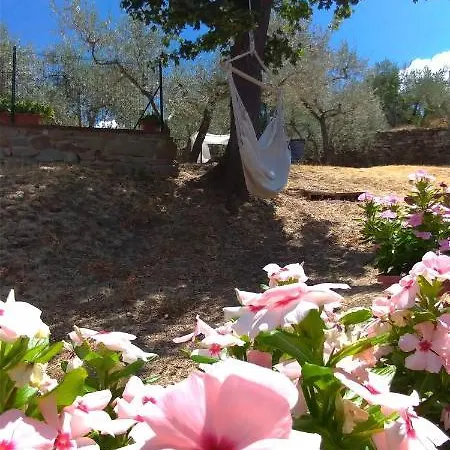 La Casa Tra Gli Ulivi