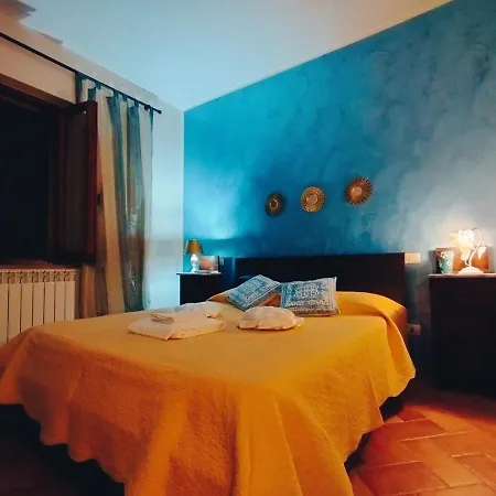 La Casa Tra Gli Ulivi דירה