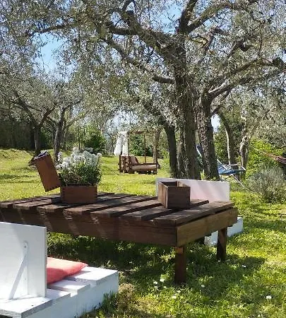 La Casa Tra Gli Ulivi * Кортона