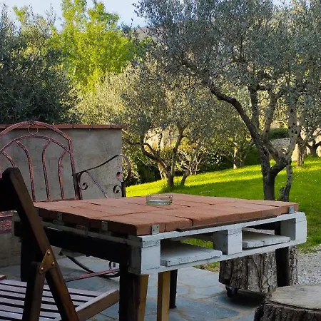La Casa Tra Gli Ulivi *