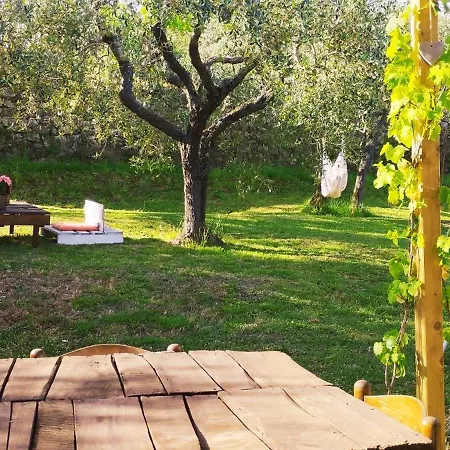 La Casa Tra Gli Ulivi