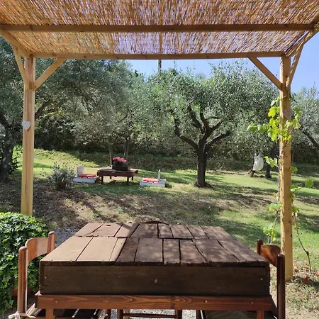 La Casa Tra Gli Ulivi Apartman *