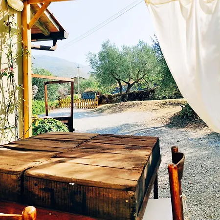 La Casa Tra Gli Ulivi Apartman *