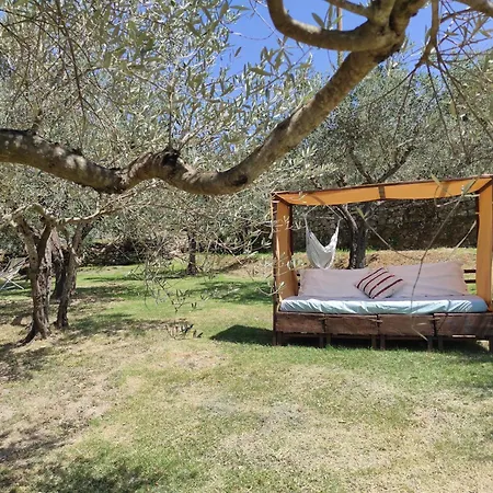 La Casa Tra Gli Ulivi Apartman Cortona