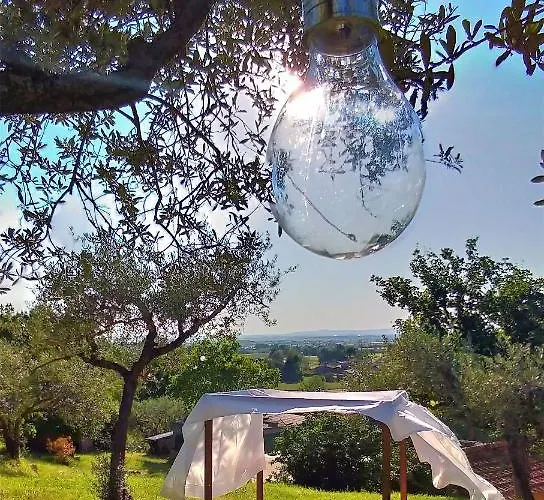 Lejlighed La Casa Tra Gli Ulivi