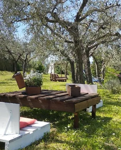 La Casa Tra Gli Ulivi * Cortona