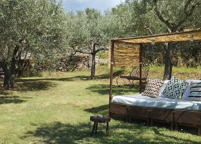 La Casa Tra Gli Ulivi Lejlighed