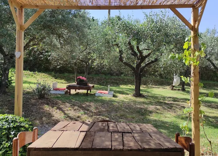 La Casa Tra Gli Ulivi Lejlighed *