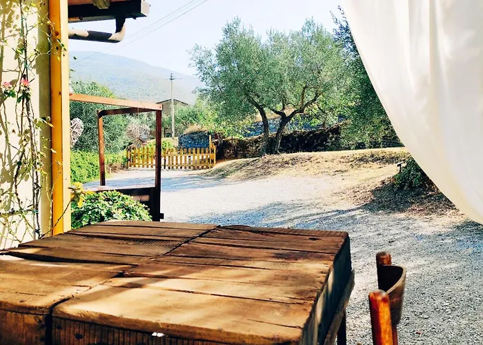 La Casa Tra Gli Ulivi Lejlighed *