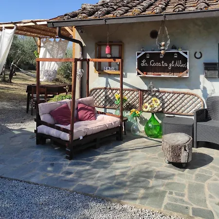 La Casa Tra Gli Ulivi דירה קורטונה